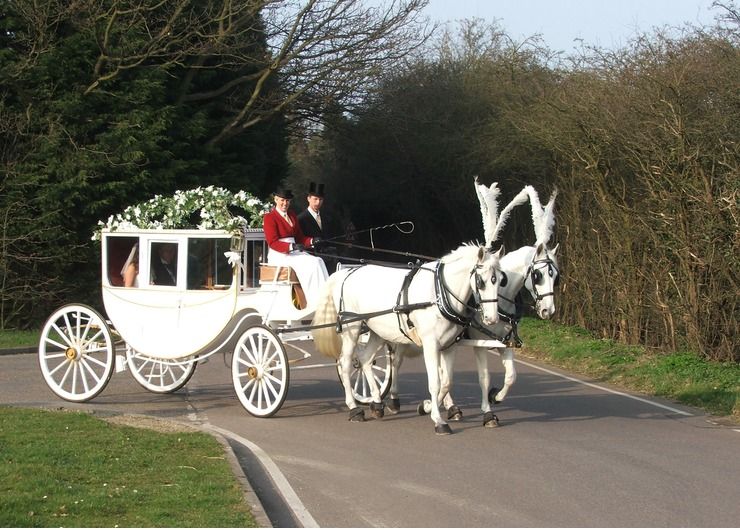 carltoncarriages white horses and carriages