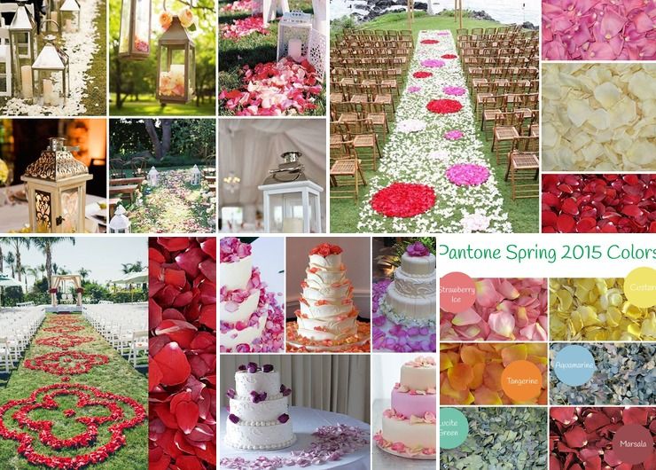 Rose Petal Ideas for weddings & special events