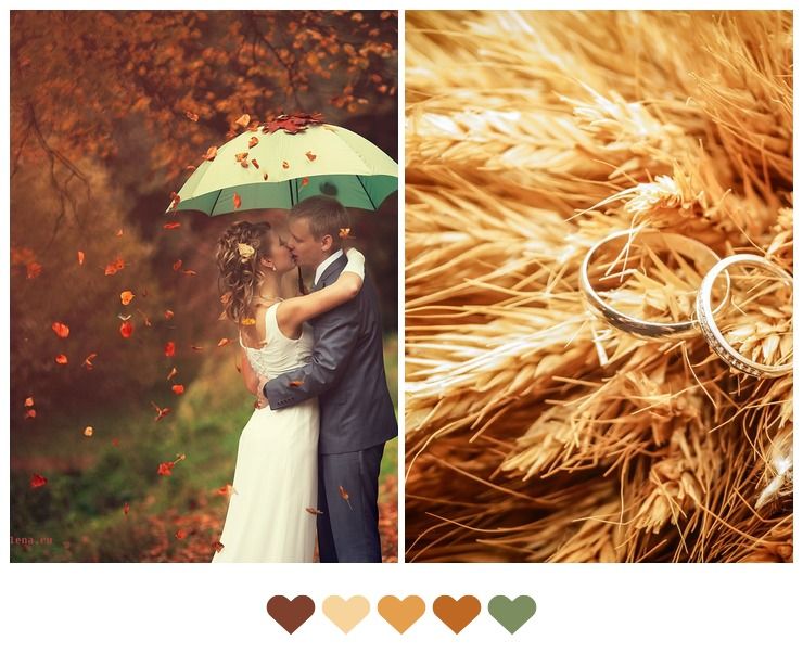 Wedding rings in Autumn