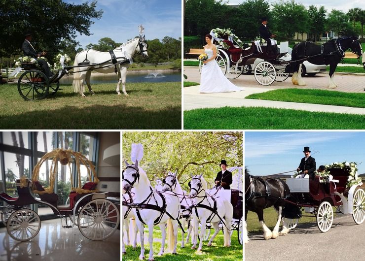 Horse-drawn Carriages in Florida