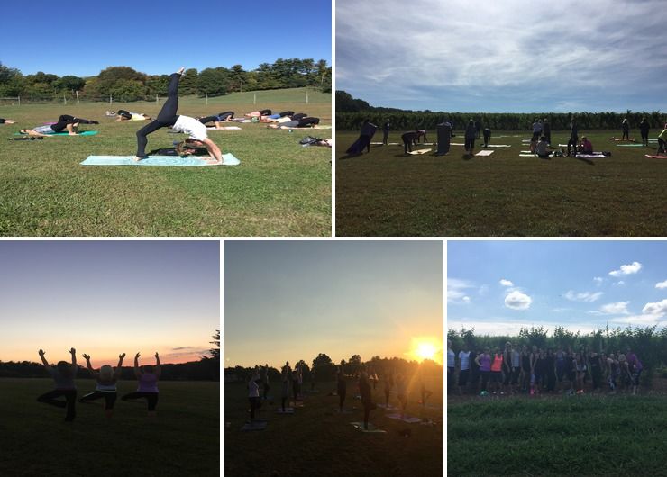 Yoga in the Vineyard Bridal Showers and Bachelorette Party!