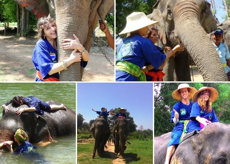 Honeymoon love of elephants