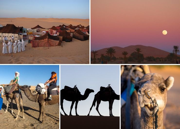 Excursion in Morocco Overnight Camel trekking