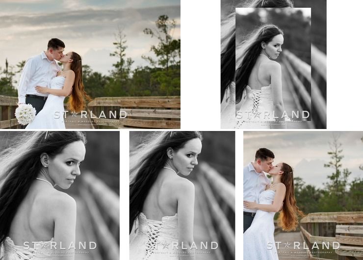Starland Portrait & Wedding Photography in Savannah GA
