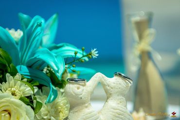 Blue photo session decor Blue photo session decor