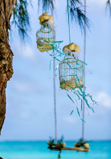 Yellow photo session decor