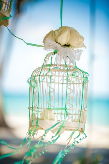 Blue photo session decor Blue photo session decor