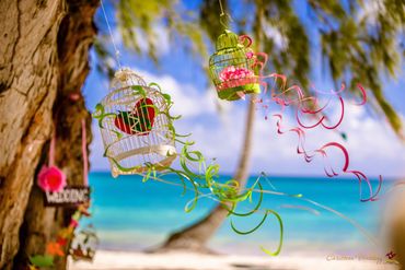 Beach pink photo session decor