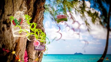 Beach green photo session decor Beach green photo session decor