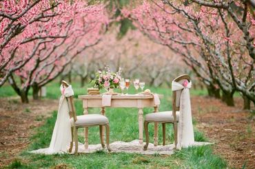 Spring pink photo session decor