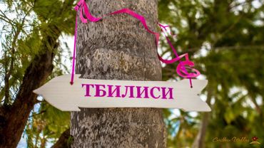 Pink wedding signs