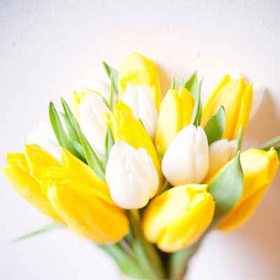 Spring yellow tulip wedding bouquet