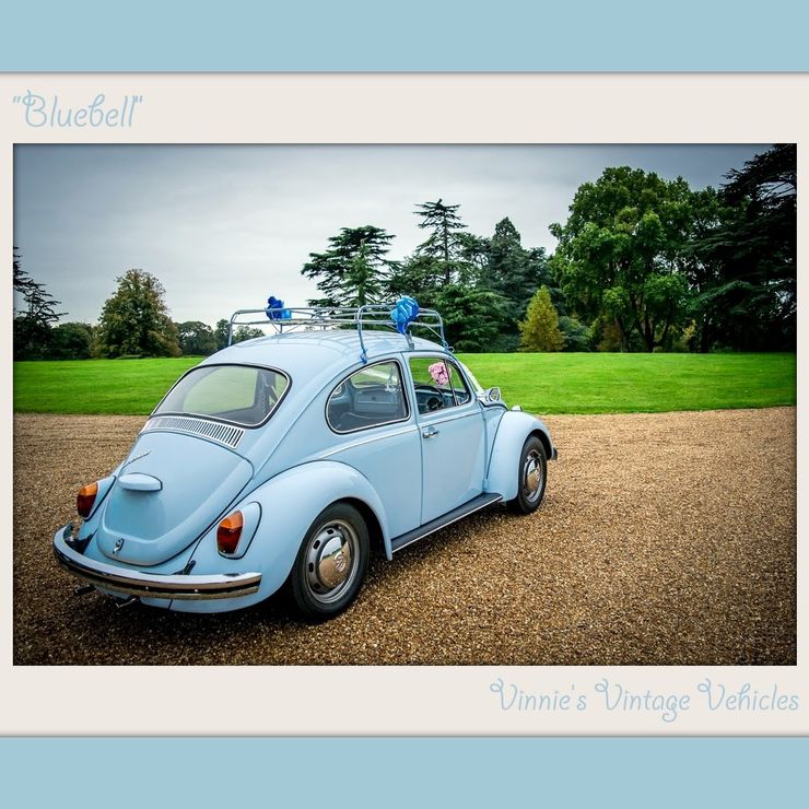 Bluebell the Beetle