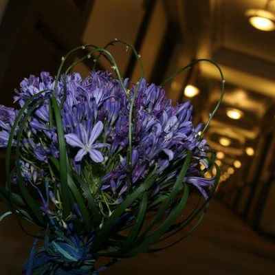 Blue alternative wedding bouquet
