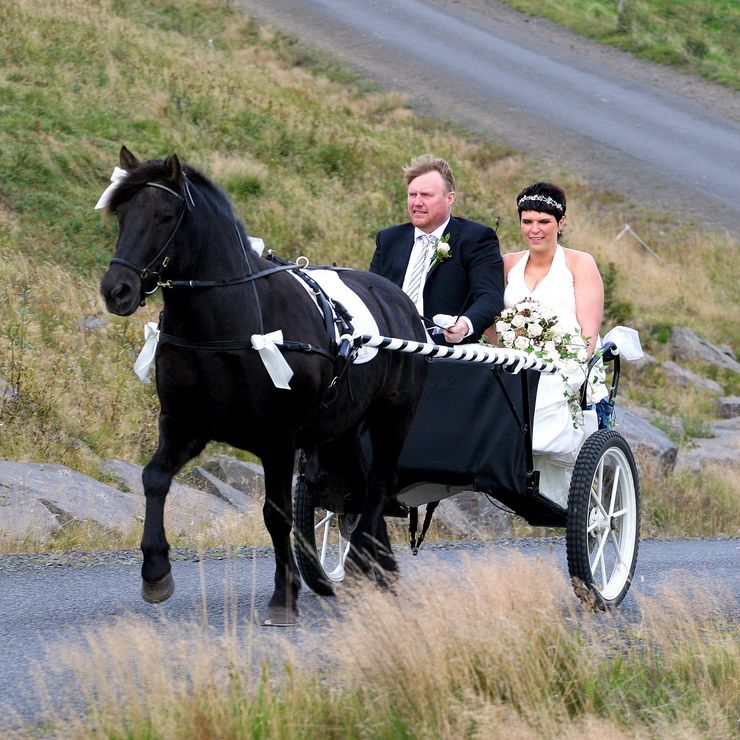 Horse carriage for Magnus and Svanny wedding