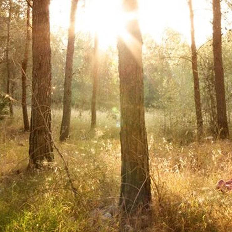 Photographer Jerusalem